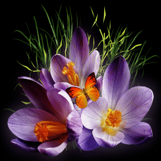 Purple Flowers Butterflies LWP icon