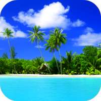 Beach Video Live Wallpaper Gallery