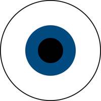 Following Eye