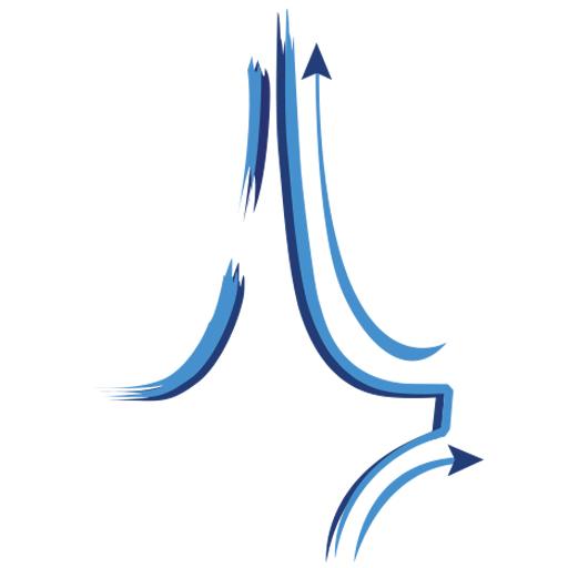 DSE - Damascus Securities Exchange icon