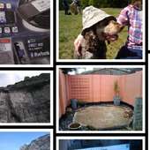 My Pictures Grid (Trial) on 9Apps