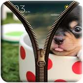 Puppy Zipper Locker on 9Apps