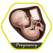 Pregnancy Detector Prank icon
