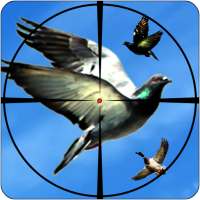 Flying Bird Hunting Games