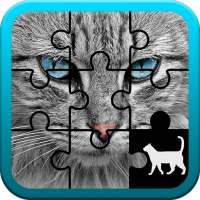 Cat Jigsaw Puzzle