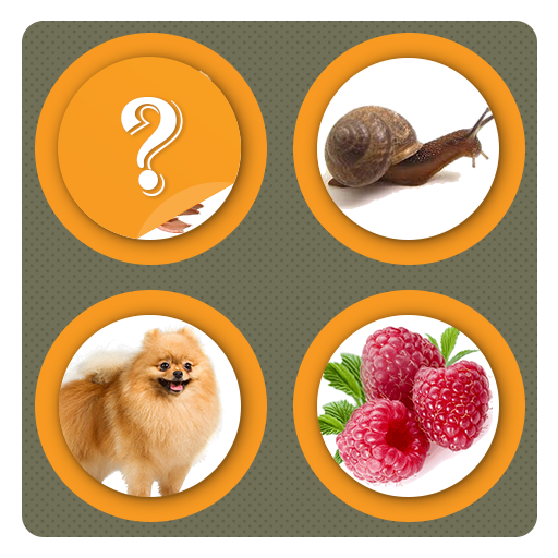 Picture Match-Memory Card Game icon