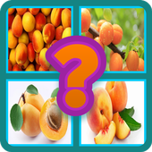 Name The Fruit - Kids Funny Game icon