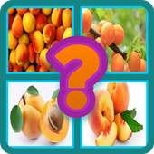 Name The Fruit - Kids Funny Game