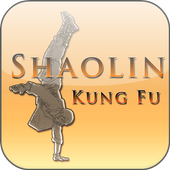 Shaolin Kung Fu Training icon