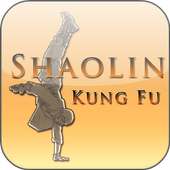 Shaolin Kung Fu Training