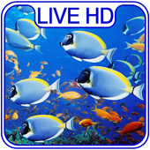 Aquarium Live Wallpaper &amp; Lock screen icon