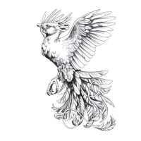 Bird Tattoo Wallpapers 1 on 9Apps