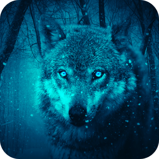Wolf Wallpapers icon