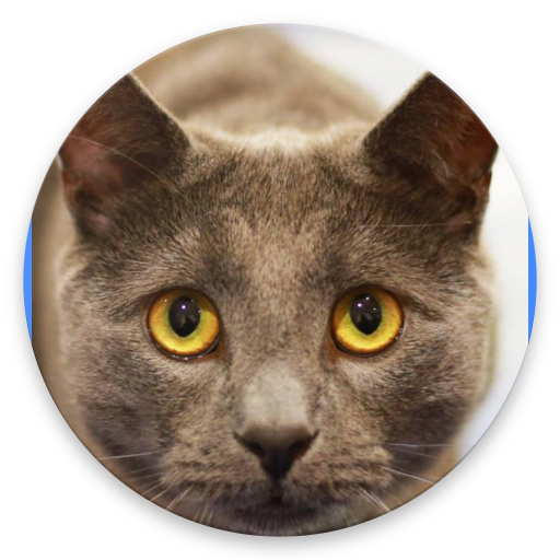 Cat and the Beanstalk icon