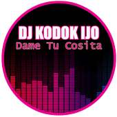 DJ Kodok Ijo on 9Apps
