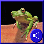 Toddler Zoo Animals and Sounds icon