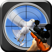 Bird Hunter icon