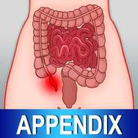 Appendix Diet Foods Help Tips