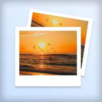 Gallery - Photos & Videos