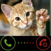 Fake  Call Kitty Cat icon
