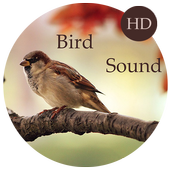 Bird Sounds - Relax and Sleep icon