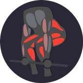 Adaptive Gym Workout Plan for Weight training