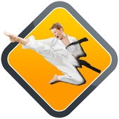 Learn Karate Lessons icon