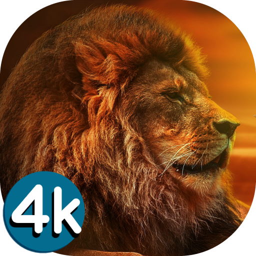 🐯 Lion Wallpapers - Angry 4K | HD Lion Pictures ❤ icon