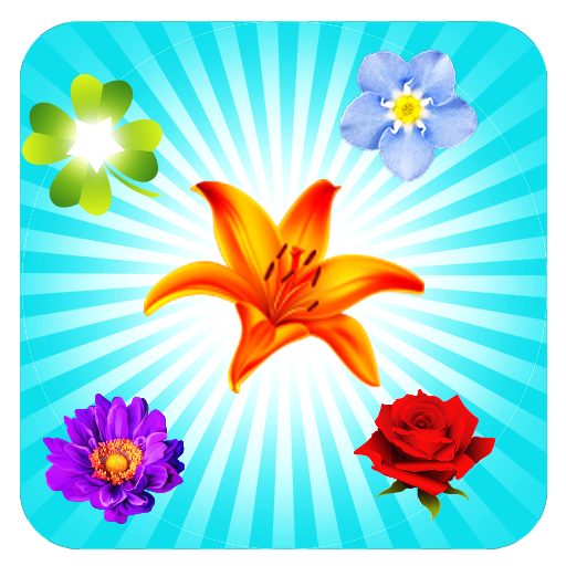 Blossom Crush icon