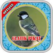 MASTER Burung Glatik PIKAT on 9Apps