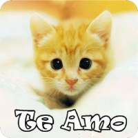 Gatitos con Frases de Amor on 9Apps