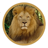 Animal Sounds - Early Learning icon