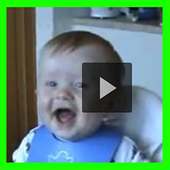 Funny videos