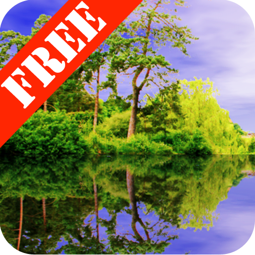 Forest Pond Free icon