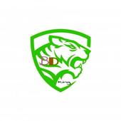 BD King VPN icon