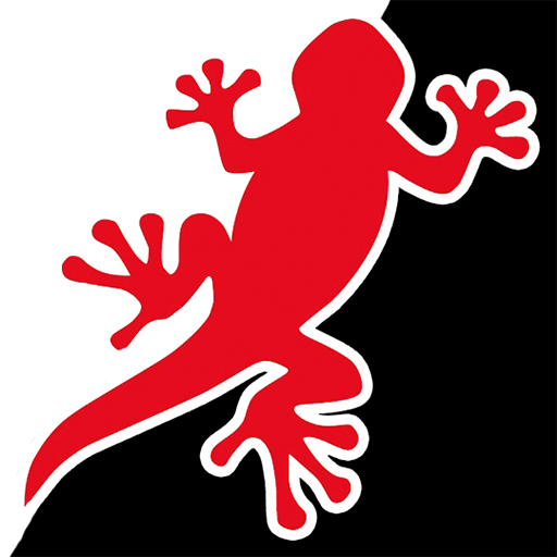 Geco Racing Scorzè icon