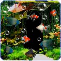 Aquarium Live Wallpaper Gratis