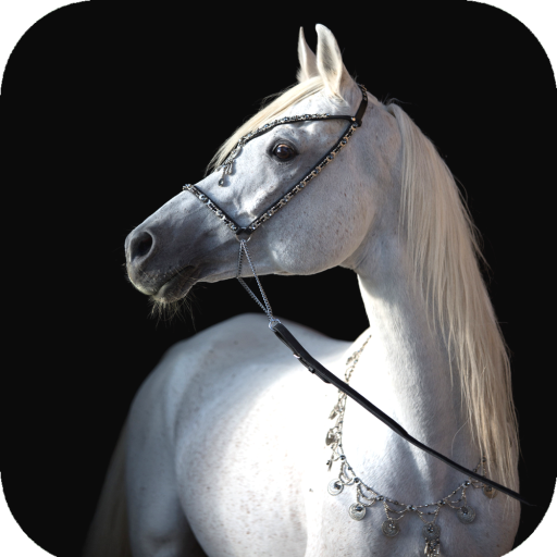 Horse Wallpaper HD icon