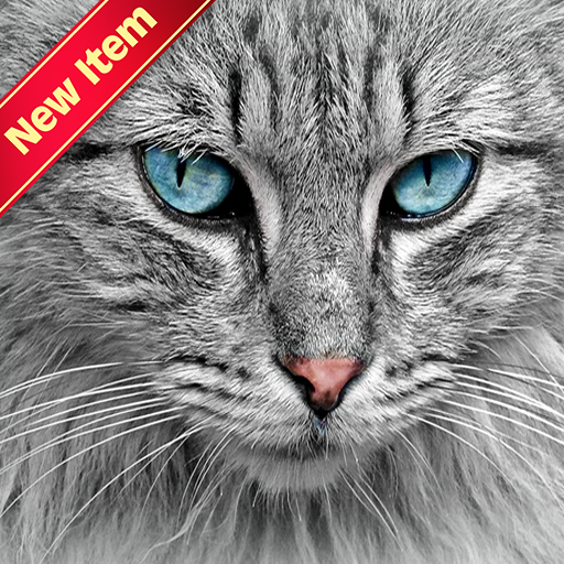 Cat Wallpapers icon