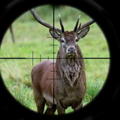 Deer Hunt: Rifle Shot Kill icon