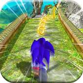 Sonic Lost Temple 3D