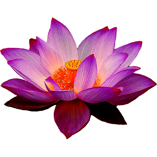 Sri Lanka Radios TV News Chat icon