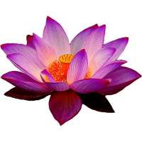 Sri Lanka Radios TV News Chat