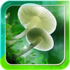 Mushrooms Live Wallpaper icon