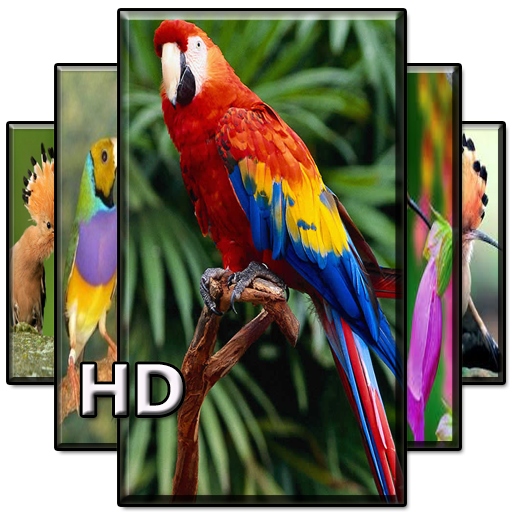 Beautiful Birds Wallpaper icon