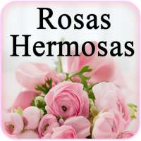 Rosas Hermosas - Imagenes de Rosas Bonitas on 9Apps