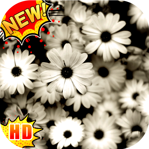 Grey Wallpapers - Gray Wallpaper icon