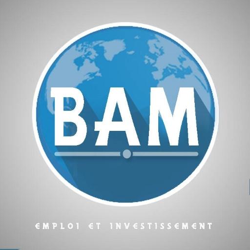 BAM Emploi et Investissement आइकन