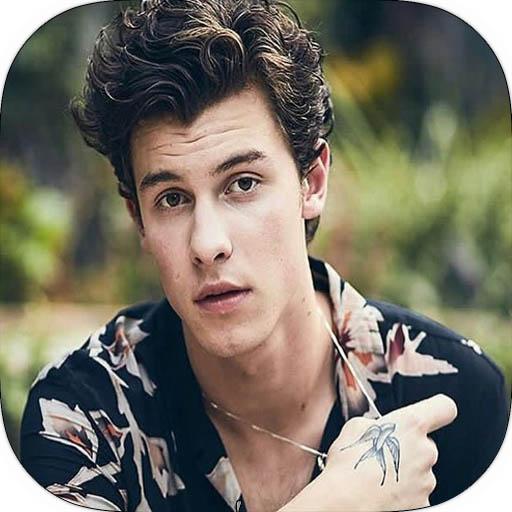 Shawan Mendes Hoyi Wallpapers icon