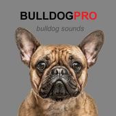 Bulldog icon